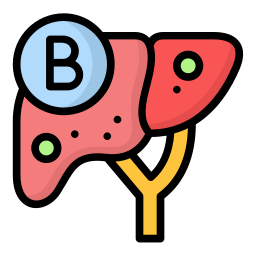 Hepatitis B Icon